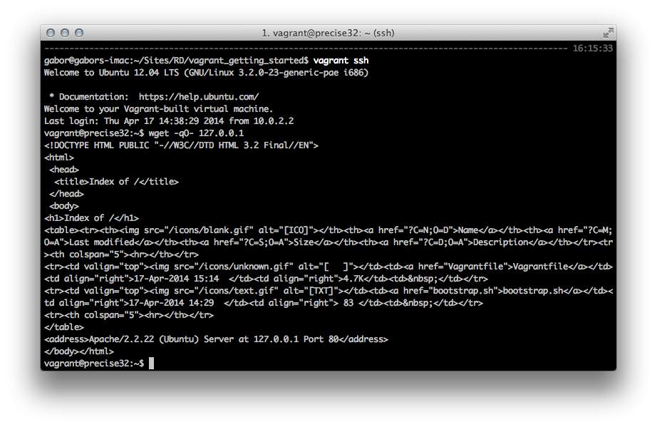 wget of localhost on vagrant