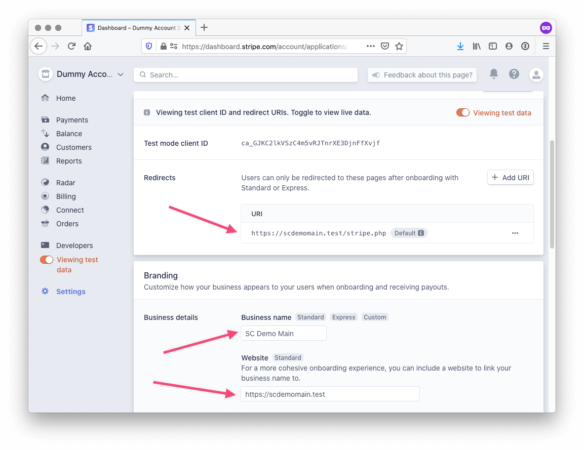 Screenshot of Stripe Connect application settings showing the redirect URI part, and the top of the Branding part.