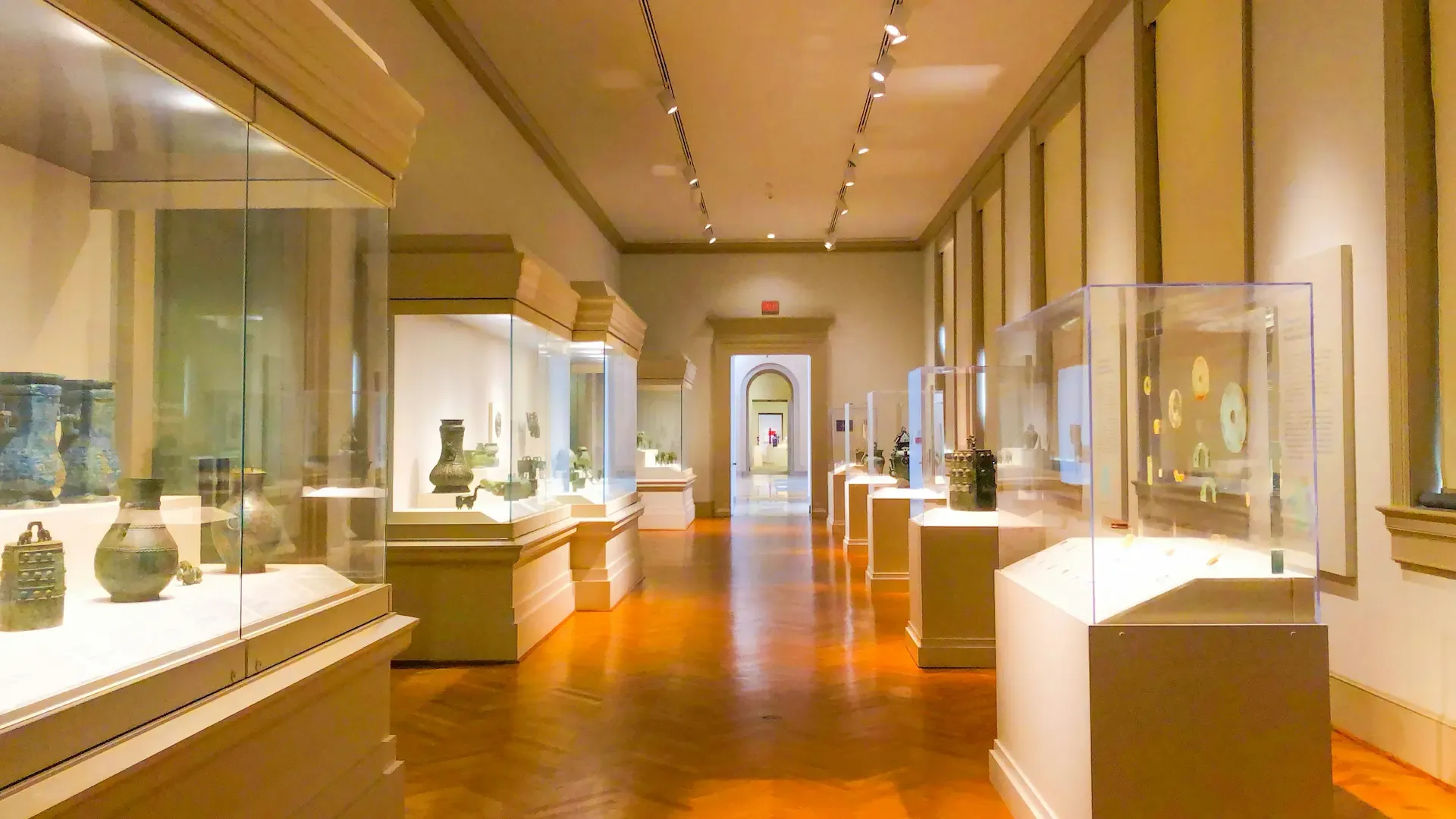 Inside of a well lit museum showing off anthropological finds from the ancient world.