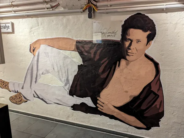 Mural of David Hasselhoff in the Hasselhoff museum in the cellar of one of the hostels in Berlin.