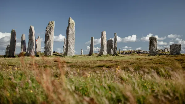 Large stones protruding from the ground.